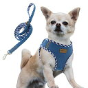 AIMINTO デニム犬用ハーネス&リードセット、通気性の高いメッシュ素材、軽量、ハーネス胸元に反射材付き - 猫や小型犬用 (XXSサイズ 胴範囲28-32C...