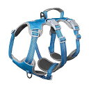 犬用ハーネス 犬用胴輪 犬ハーネス小型犬 胴輪小型犬 猫用 ハーネス 引っ張り防止 抜けない メッシュ 防水 サイズ調整可能 夜反射 散歩 トレーニング(S、ブ...