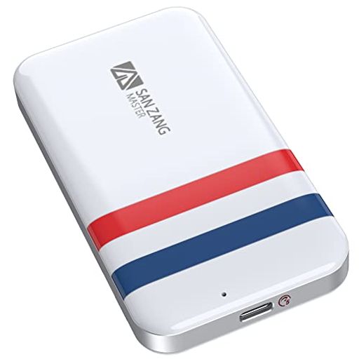 SANZANG ポータブル SSD 256 GB、USB C 2インチケーブルを備えた外部ソリッドステートドライブ、最大550MB/S、USB 3.1