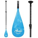 3-section adjustable stand up paddle for paddleboard carbon shaft blue print plastic blade + bag