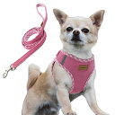 AIMINTO デニム犬用ハーネス&リードセット、通気性の高いメッシュ素材、軽量、ハーネス胸元に反射材付き - 猫や小型犬用 (XXSサイズ 胴範囲28-32C...