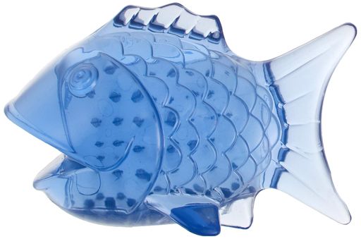 キャッチ・オブ・ザ・デイBRUSHFISHHDHNB