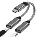 USB Cスプリッター USB Cヘッドホンと充電器アダプター デュアルUSB Cオーディオと充電器アダプター 対応機種: PIXEL2XL/3XL/4XL/5 GALAXY S20/S20+/S21 NOTE10/ NOTE20/