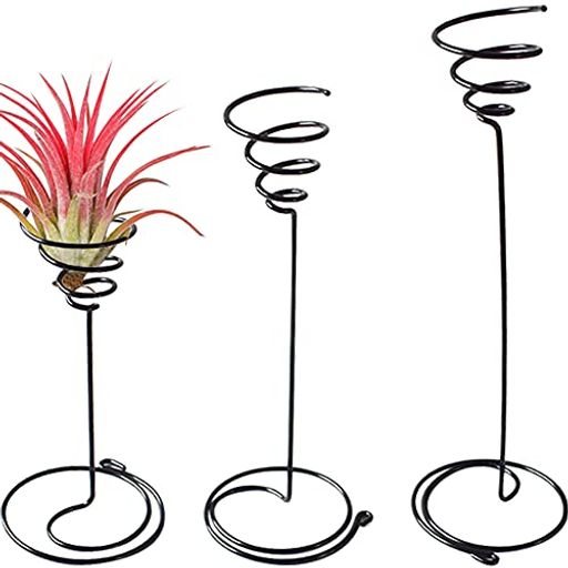 HIGHAWKチランジア エアプラントホルダー フレーム 園芸用 フラワーラック 鉢 エアプランツ スタンド 多肉 飾り 植物ホルダー 3点(スパイラル1セット)