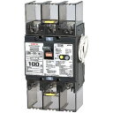 テンパール工業単3中性線欠相保護付漏電遮断器OC付100AF100A30mAリード線付U10301KC130V