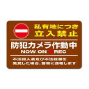 【私有地敷地内防犯カメラ作動中看板】通り抜け禁止私有地につき私道立ち入り禁止立入禁止進入禁止監視カメラ敷地内標示注意禁止警告