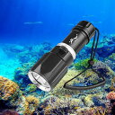 WINDFIREダイビングライト・超高輝度LED懐中電灯防水・5000ルーメン水中ライト・1照明モード・水中100Mまで使用可能・水中懐中電灯潜水灯・水陸両用登山夜釣り防災グッズ停電対策緊急用(電…