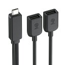 CableMattersUSB-Cオス-デュアルUSB-Aメススプリッターケーブル30cm、USB-CYスプリッター、USB-C-USB2.0ハブ、480Mbpsデータ転送、BC1.2充電対応、USBタイプC-タイプA延長