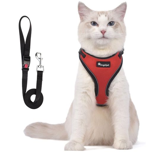 猫猫用ハーネス胴輪猫具ねこネコ子猫子犬小型犬散歩お出かけ抜けないベストソフト胸あて軽量頭を通さずマジックテープで装着サイズ調節可夜反射通気メッシュ(Sサイズ(x1)レッド)