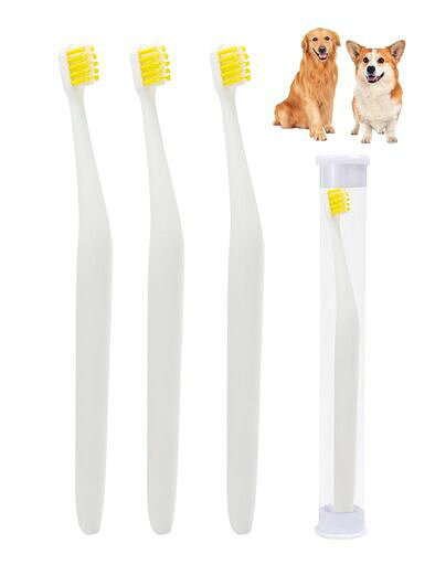 犬 歯ブラシ 3本セット 犬用歯ブラシ 小型犬 極薄 コンパクトヘッド 奥まで届く 斜めネック すべり止め加工付き 収納ケース付き 持ち運び便利 Elowen