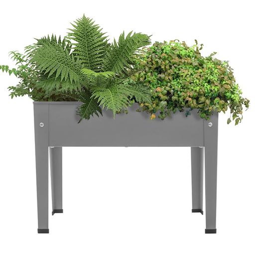 HeshiJプランタープランタース...