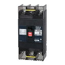 テンパール工業配線用遮断器125AF3P3E120AB123EC120