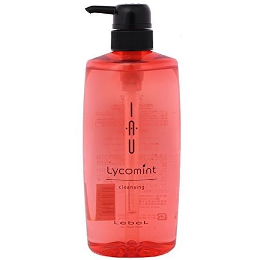 ٥ ꥳߥ 󥸥 ס 600ML