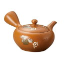 J-kitchens急須陶器一人用日本製シックスタイリッシュ使いやすい230cc(深蒸し/さわやか網)