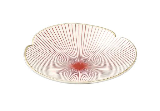 美濃焼大鉢業務用日本製20x4cmイングレ赤千本十草平鉢5723474