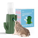 BUCATSTATEハムスターボトルロールボール給水器自動給水スタンドタイプおしゃれサボテン型陶器水飲み器水漏れ防止安定サボテン台座+120mlウォーターボトル2セット2WAYハムスターハリネズミ…(4)