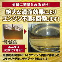 AZ(エーゼット) 燃料添加剤 FCR-062 FP013 300ML
