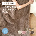 毛布 ふわふわ 毛布ブランケット シングル ハーフ 掛け毛布 ラグジュアリー もうふ ふわふわ とろとろ 暖かい 厚手 ぽこぽこ ランケット 北欧 大判 おしゃれ ホワイト 白 高級 毛布 洗える 保温 寝具 無地 触り心地 インテリア 大きい