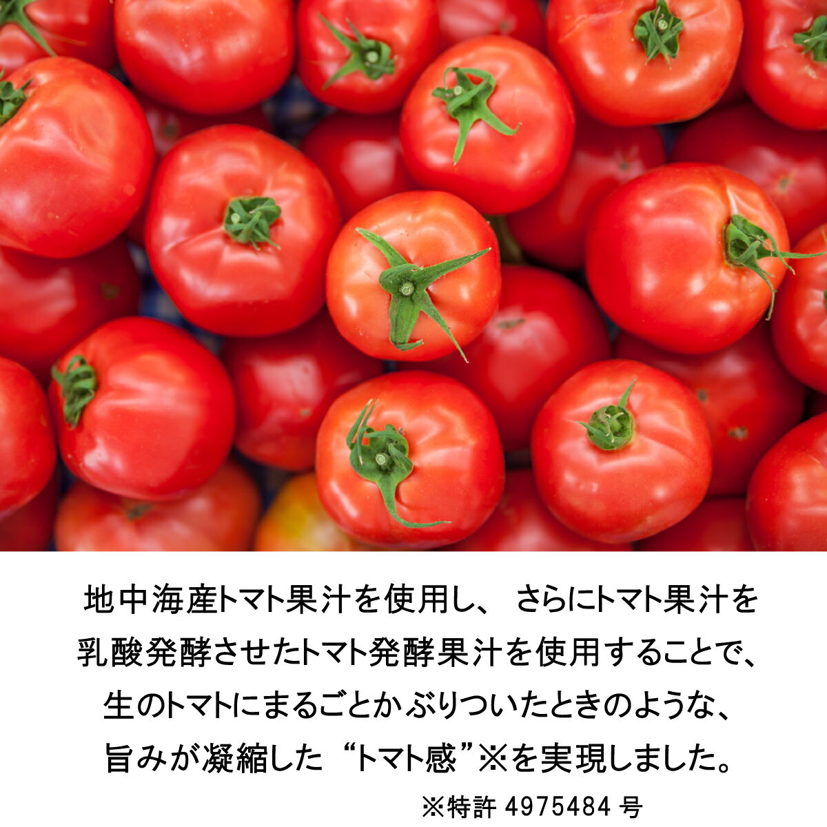 ウォッカ＆テキーラ専門VodkaVakkaのとまとのお酒 トマトマ 12度 500ml[リキュール][長S]｜アングル3