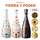 Ki eBG C |f[ 750ml 40x 3{Zbg v~A eL[ uR |Th Alz AjFz {g   LVR NZAX[ l XAgXnY iCgNu Tierra y Poder BLANCO REPOSADO ANEJO PREMIUM TEQUILA S