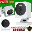 【楽天スーパーSALE 半額!】防犯カメラ 屋内 家庭用 ワイヤレス wifi 300万画素 人体検知 動体検知 MicroSDカード録画 録音 遠隔監視 赤ち...