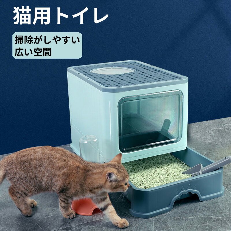 ��2025 ǯ���о��ǭ�ѥȥ��� ǭ�Υȥ��� �ե륫�С� 2�ɥ� �ڥå����� ǭ���� ���祵���� ����̩�ķ� �ޤꤿ���� æ���ȥ����ƴ� �ݽ���ñ �˥����ɻ� ...