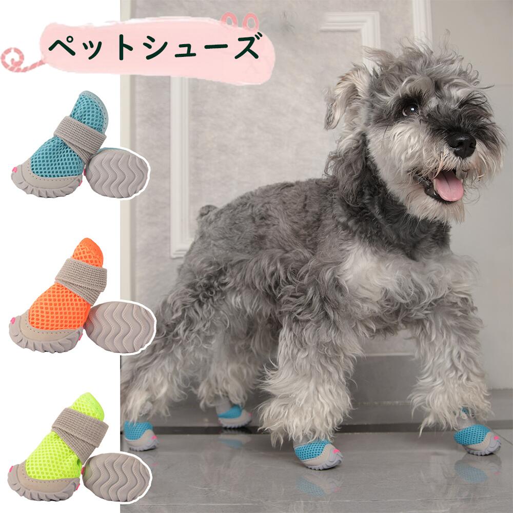 �ڥå� ���塼�� �� �� æ���ʤ� �������䤹�� ���� �� �� �� �� �ڥå����� �����ե���� �ɿ� ���ߤ� �緿�� �淿�� ������ Ϸ�� �ȥ��ס��ɥ� ��...