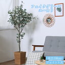 フェイクグリーン 観葉植物 150cm ジョイント式 おしゃれ ユーカリ
