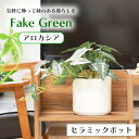 観葉植物 フェイクグリーン セラミックポット付き アロカシア