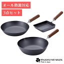フライパン 3点セット 玉子焼 14×18cm フライパン 26cm 炒め鍋 28cm 鉄製 サビにくい ガス火 IH対応 日本製