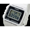 JVI CASIO rv Y fW^ zCg / Əjwjv[g