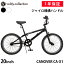 【365日出荷対応店】自転車 BMX 20インチ ジャイロ機構ハンドル ペグ4本 スタンド付属 ストリート 街乗..