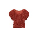 クラネ CLANE シャーリング パフ トップス SHIRRING PUFF TOPS チェック シアー素材 レディース 【2025 新作】【15:00までのご...