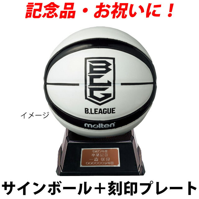 プレート付★モルテン サインボール Bリーグ セット 寄せ書き 記念品 ネームプレート バスケットボール B2B500WK 刻印 自由 molten