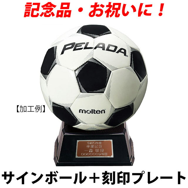 プレート付★モルテン サインボール サッカー セット 寄せ書き 記念品 ネームプレート サッカーボール F2P500 刻印 自…