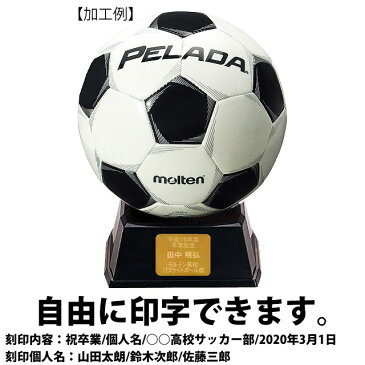 プレート付★モルテン サインボール サッカー セット 寄せ書き 記念品 ネームプレート サッカーボール F2P500 刻印 自由 ゴールド molten【記号別途見積り】