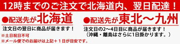 ミカサ ボールバッグ ナイロン 6個用