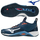 【送料無料】ミズノ MIZUNO バレーボールシューズ ウエーブモーメンタム2 WAVE MOMENTUM2（V1GA2112 12）ローカット メンズ レディース