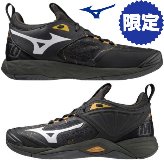 送料無料 2023新作 ミズノ MIZUNO バレーボールシューズ ウエーブモーメンタム2 WAVE MOMENTUM 2（V1GA2112 41）ローカット メンズ レディース