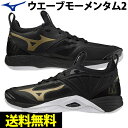 ミズノ MIZUNO バレーボールシューズ ウエーブモーメンタム2 WAVE MOMENTUM 2（V1GA2112 52）ローカット メンズ レディース