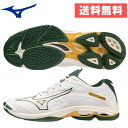 送料無料 ミズノ MIZUNO ジュニアバレーボールシューズ