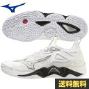 送料無料 ミズノ MIZUNO バレーボールシューズ ウエーブモーメンタム3(V1GA2312 51)メンズ レディース【即日発送】