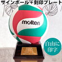 プレート付★モルテン サインボール バレー セット 寄せ書き 卒業記念品 ネームプレート バレーボール V1M500 刻印 自由 ゴールド molten 1個から製作します