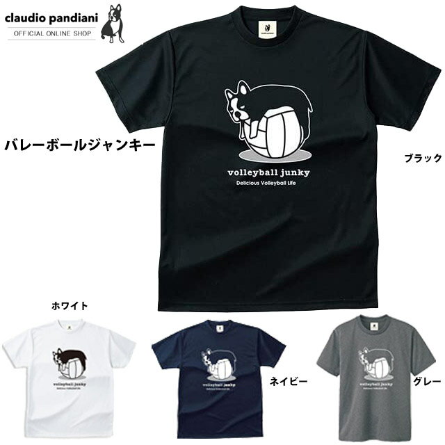 楽天バレーボールアシスト楽天市場店【1枚までメール便OK】パンディアーニ Tシャツ バレーボールジャンキー 半そで 練習着 VJ17503