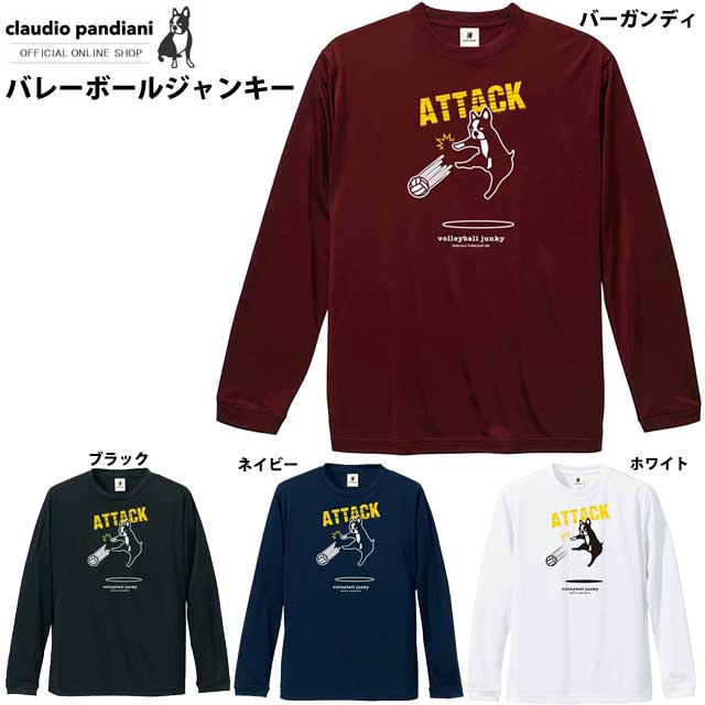 【送料無料】2022継続 パンディアーニ Tシャツ バレーボールジャンキー 長袖《練習着》【VJ19501】