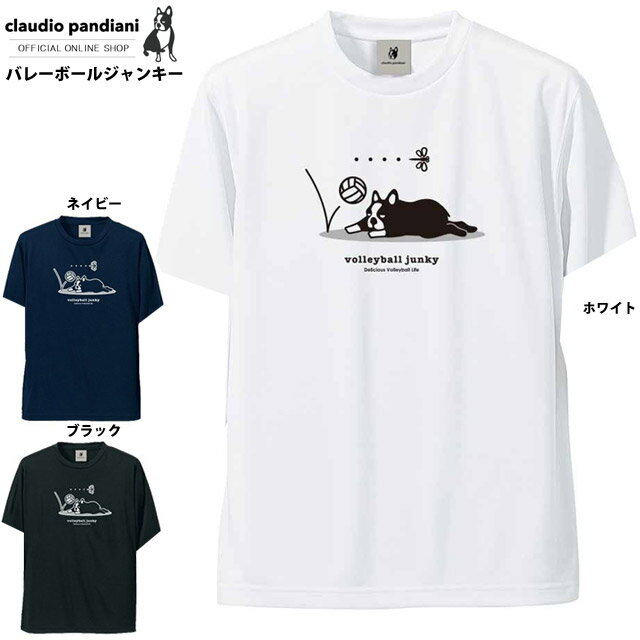 【1枚までメール便OK】2022継続 パンディアーニ Tシャツ バレーボールジャンキー 半そで《練習着》【VJ21001】