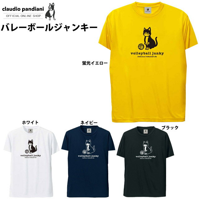 【1枚までメール便OK】2022継続 パンディアーニ Tシャツ バレーボールジャンキー 半そで《練習着》【VJ21003】