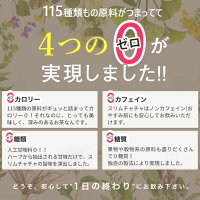 【あす楽対応】感動のドッサリ体験【送料無料】スッキリ便秘密はルイボスティー風味のスッキリ茶お茶ダイエットティーダイエット茶ダイエットドリンク菊芋
