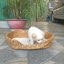 【15%OFFクーポン配布】 キャット ベッド Lサイズ クッション 犬 猫 ベッド ウォーターヒヤシンス ペットハウス おしゃれ キャットハウス バスケット かわいい 猫用 犬用 ペットハウス ドーム型 室内 ペット