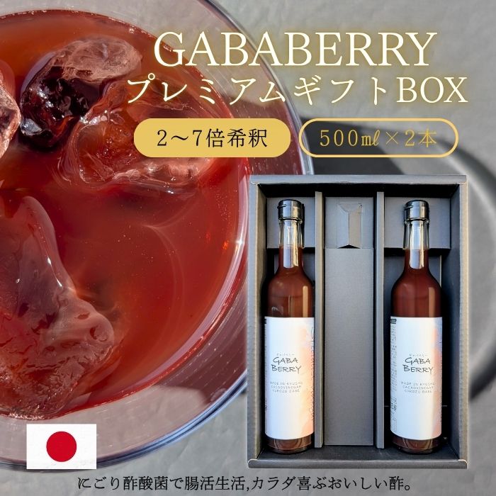 送料無料 ギフト お歳暮 ギャバベリー 500ml×2 2～7倍希釈 無添加 にごり酢 酢酸菌 国産 GABA ギャバビネガー ストレス 睡眠 疲労 腸活 砂糖不使用 果実酢 酢 健康 調味料 飲むお酢 ビネガー ドリンク おいしい酢 おいしいお酢 栄養補給 プレゼント 乳酸菌 食品 飲料 女性